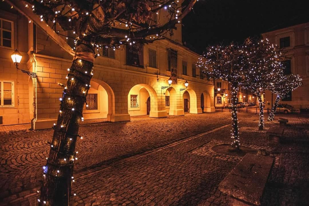 Apartman Aurelius - Private Parking Osijek Bagian luar foto